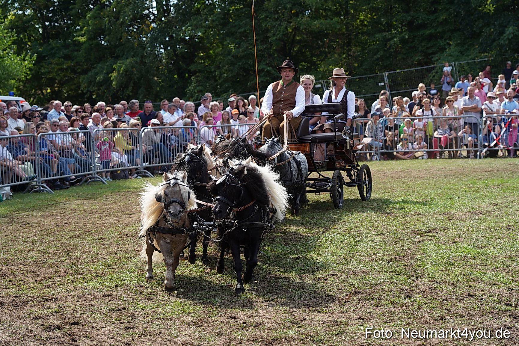 Pferde und Fohlenschau 2022 0290 